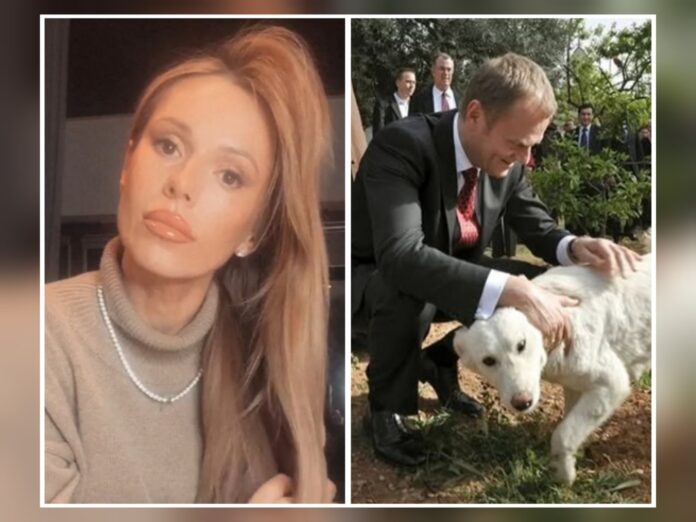 Polish_20260125_132447486