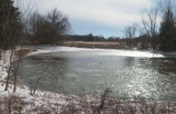 Polish_20260128_133800275