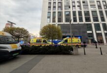 25-latka wyrzuciła psa przez okno i sama wyskoczyła z 13 piętra! Tragedia w Warszawie