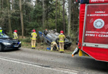 Dachowanie radiowozu w lesie pod Kielcami. Funkcjonariusze trafili do szpitala po unikaniu zderzenia ze zwierzęciem