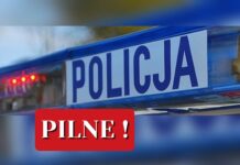 Nastolatki zatrzymane za udział w oszustwie „na wypadek”. Policja odzyskała niemal całą kwotę, prawie 41 tyś złotych