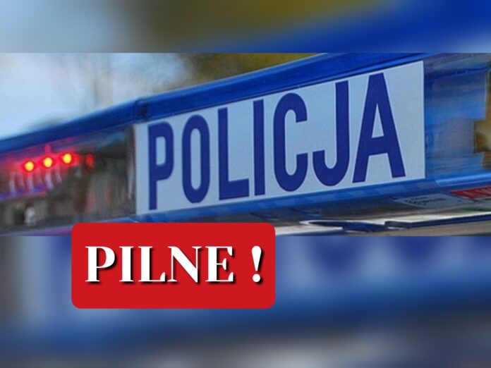Polish_20250521_100944301