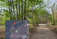 Makabryczne odkrycie w Markach. Martwe szczenięta porzucone w lesie