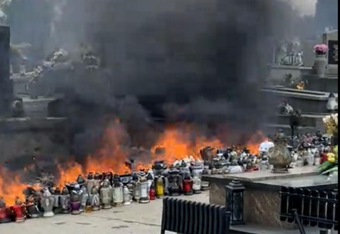 litewka