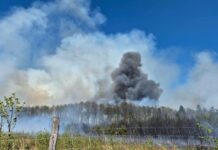 Pożar lasu w Hutkach pod Częstochową. Kilkadziesiąt zastępów straży w akcji