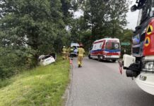 17-latka bez prawa jazdy uderzyła autem w drzewo. W samochodzie było sześciu nastolatków!