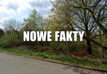 Zabójstwo kobiety w lesie w Kędzierzynie-Koźlu. Sprawca wciąż na wolności