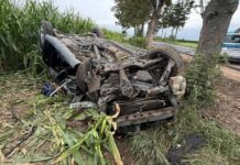 Toyota uderzyła w drzewo i dachowała. 57-letnia kobieta zginęła na miejscu